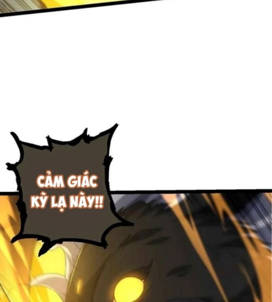 Thăng Cấp Bắt Đầu Từ Một Cái Cây Chap 104 - Next Chap 105