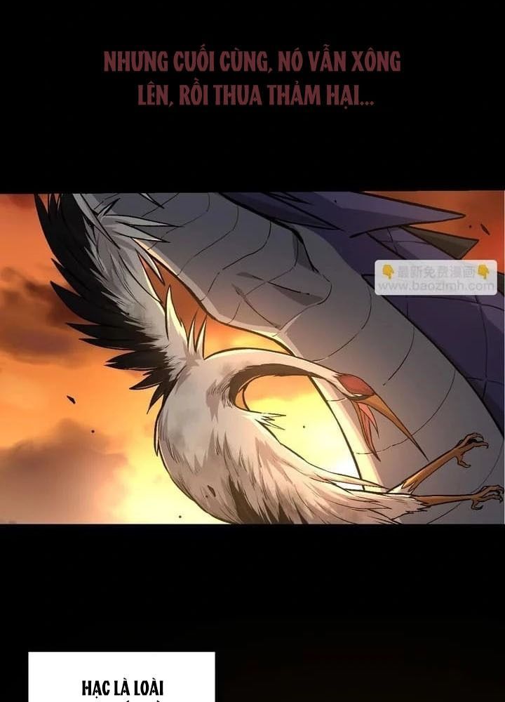 Thăng Cấp Bắt Đầu Từ Một Cái Cây Chap 54 - Next Chap 55