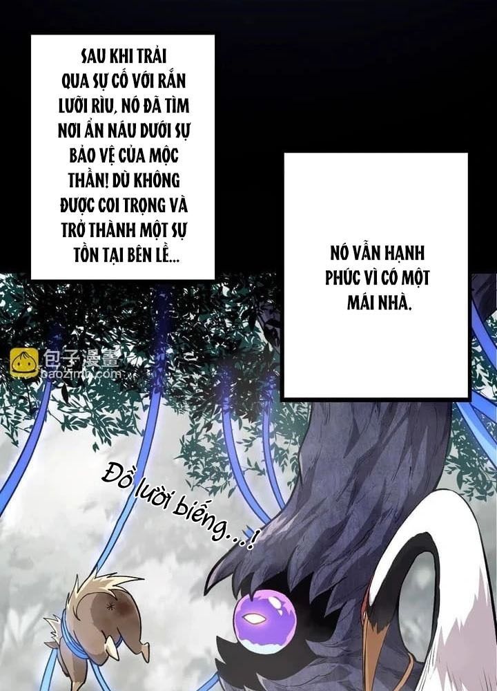 Thăng Cấp Bắt Đầu Từ Một Cái Cây Chap 54 - Next Chap 55