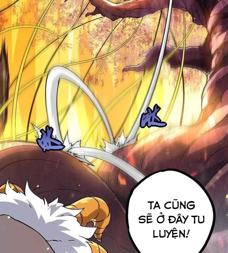 Thăng Cấp Bắt Đầu Từ Một Cái Cây Chap 80 - Next Chap 81
