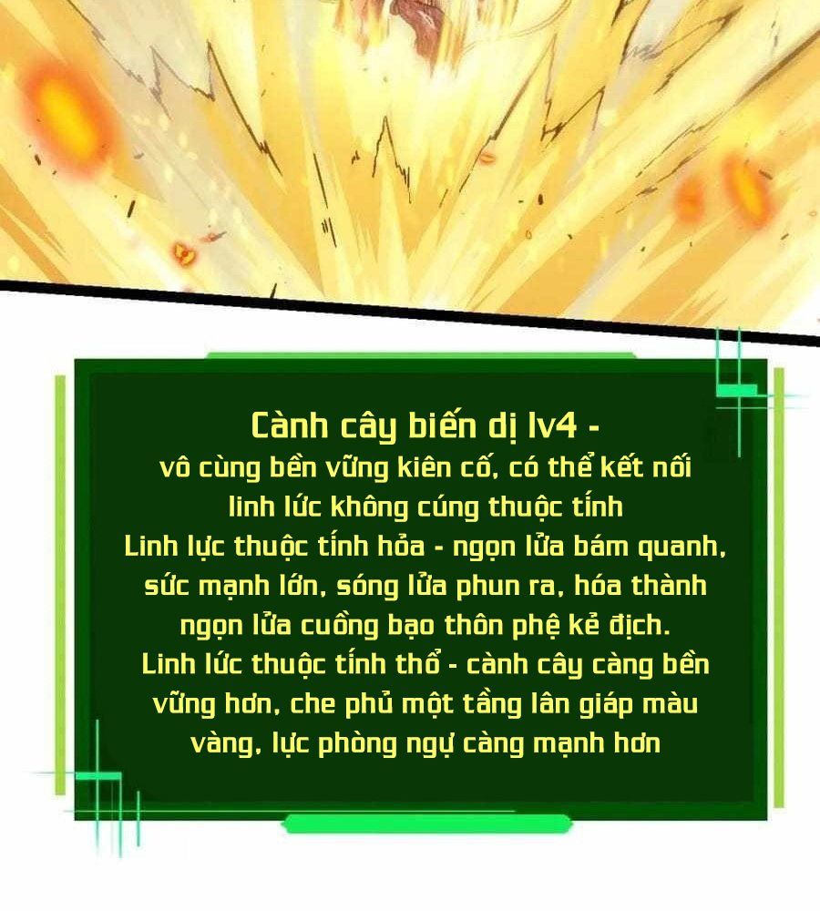 Thăng Cấp Bắt Đầu Từ Một Cái Cây Chap 80 - Next Chap 81