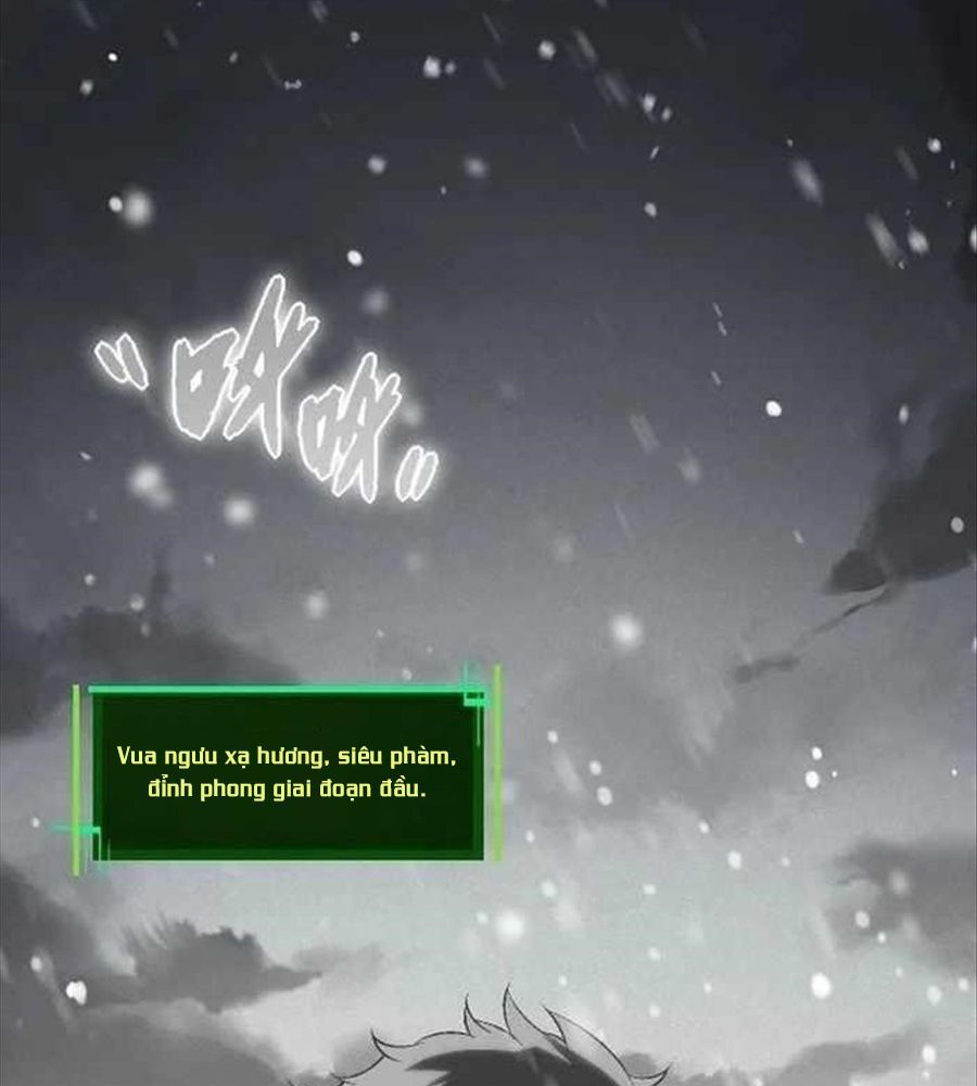 Thăng Cấp Bắt Đầu Từ Một Cái Cây Chap 82 - Next Chap 83