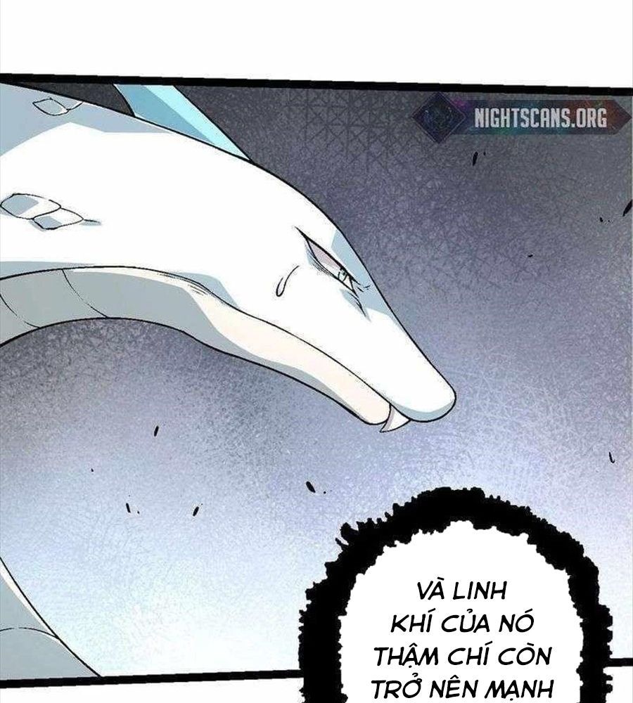 Thăng Cấp Bắt Đầu Từ Một Cái Cây Chap 85 - Next Chap 86