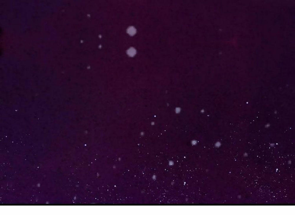 Tháng Sáu Kì Diệu Chap 16 - Next Chap 17