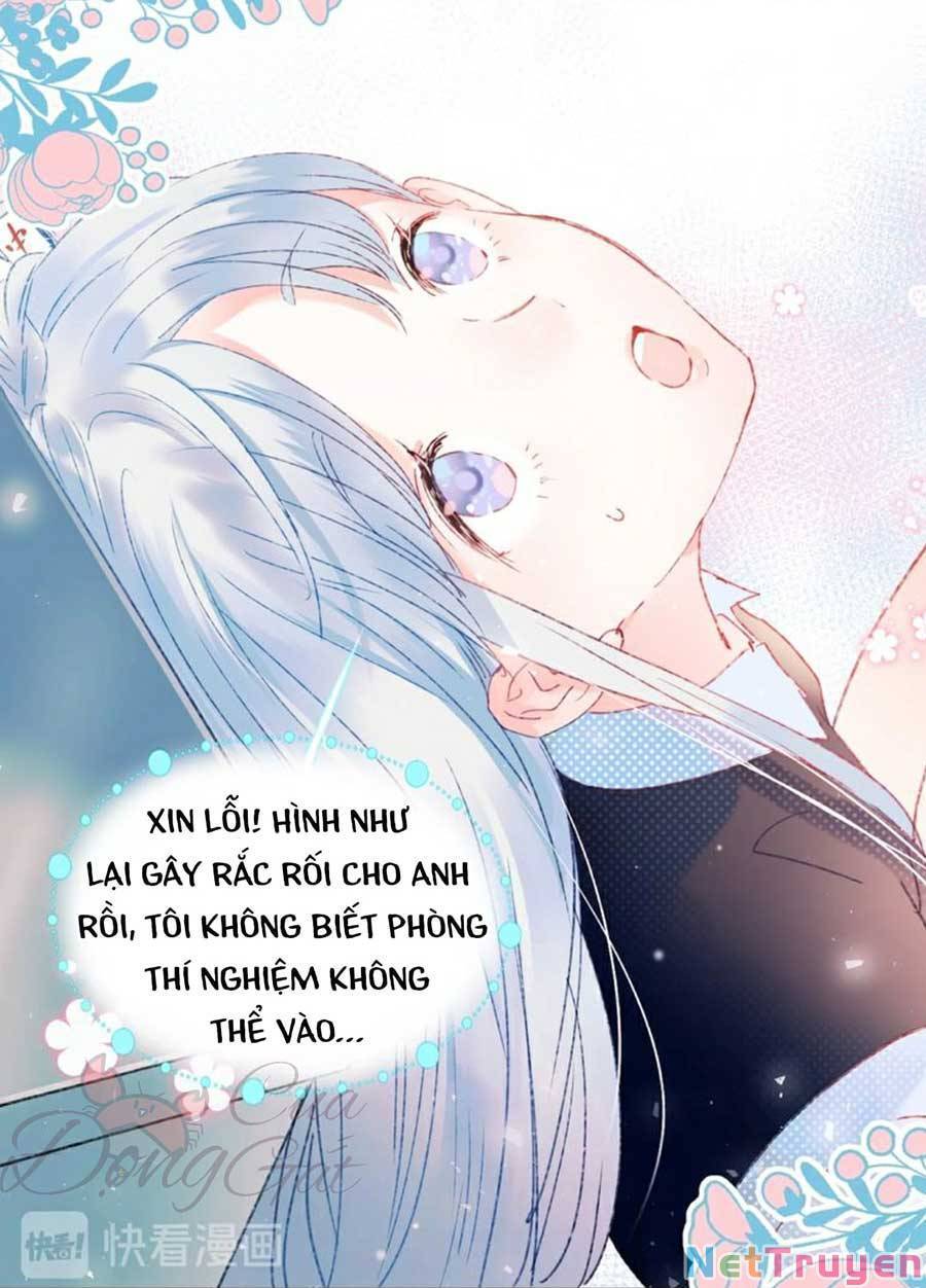 Thành Dã Tiêu Hà Chap 42 - Next Chap 43