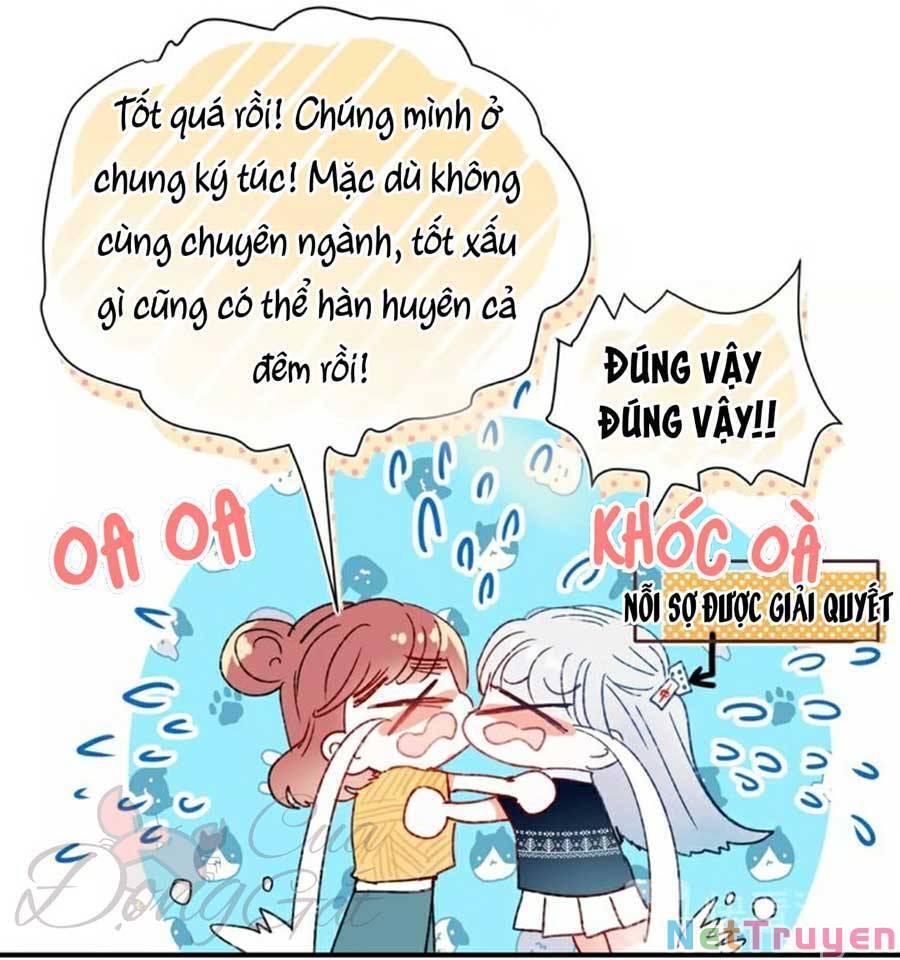Thành Dã Tiêu Hà Chap 42 - Next Chap 43