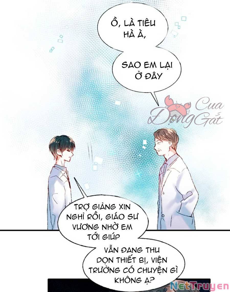 Thành Dã Tiêu Hà Chap 42 - Next Chap 43