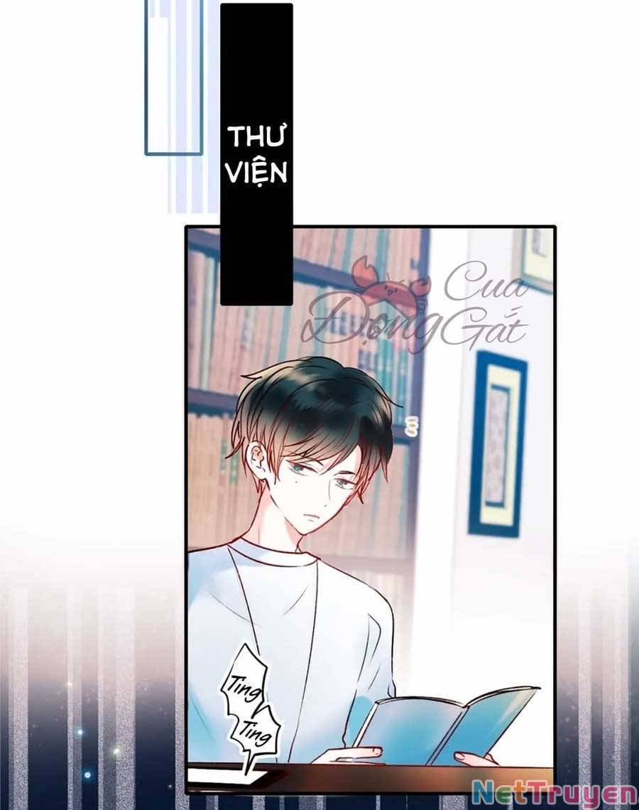 Thành Dã Tiêu Hà Chap 45 - Next Chap 46