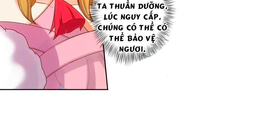 Thanh Khâu Nữ Đế: Phu Quân Muốn Tạo Phản Chap 72 - Next Chap 73