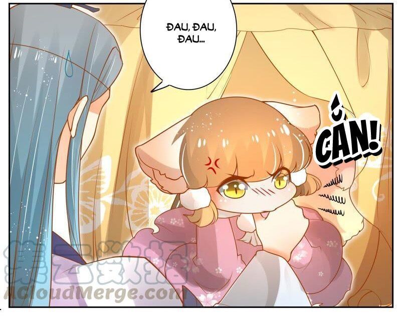Thanh Khâu Nữ Đế: Phu Quân Muốn Tạo Phản Chap 80 - Next Chap 81