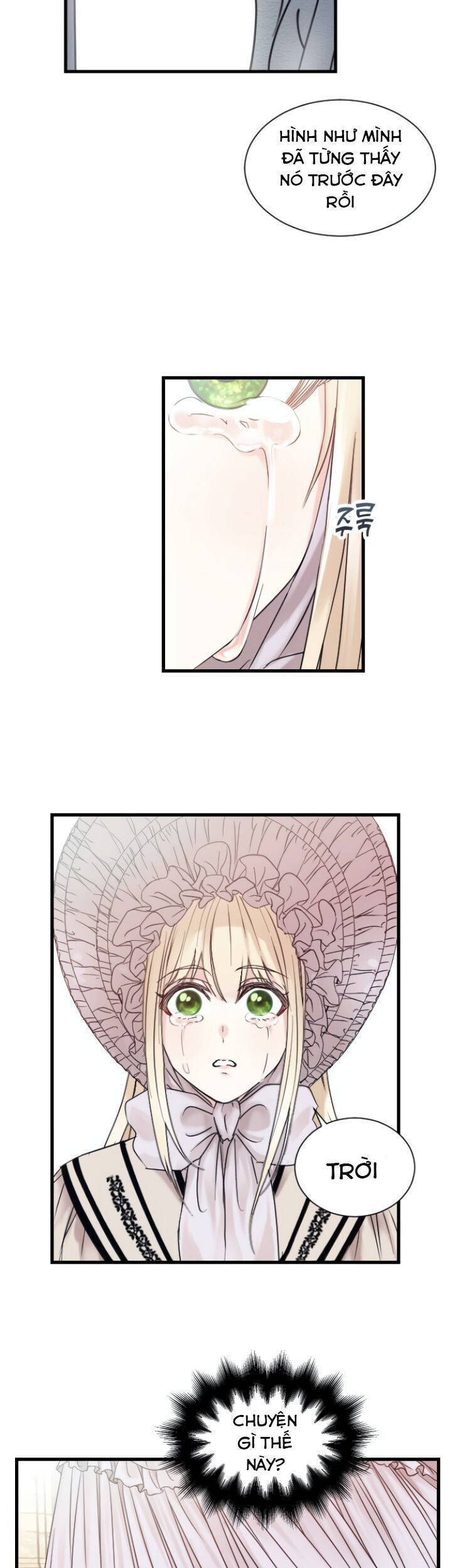 Thánh Nữ Ẩn Danh Chap 1 - Next Chap 2