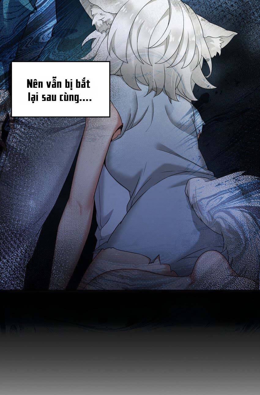 Thánh Nữ, Xin Hãy Dừng Ngay Những Trò Quái Đản Của Cô Đi!! Chap 32 - Next Chap 33