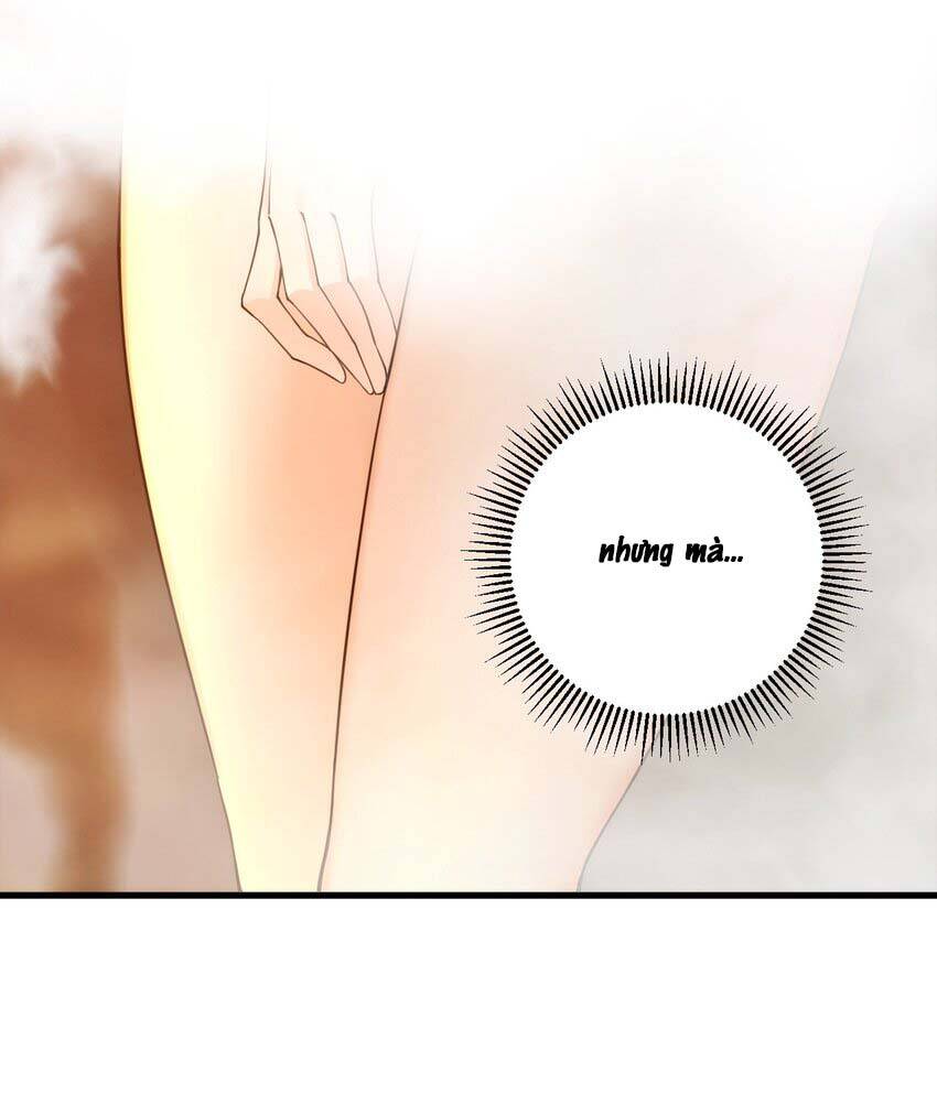 Thánh Nữ, Xin Hãy Dừng Ngay Những Trò Quái Đản Của Cô Đi!! Chap 38 - Next Chap 39