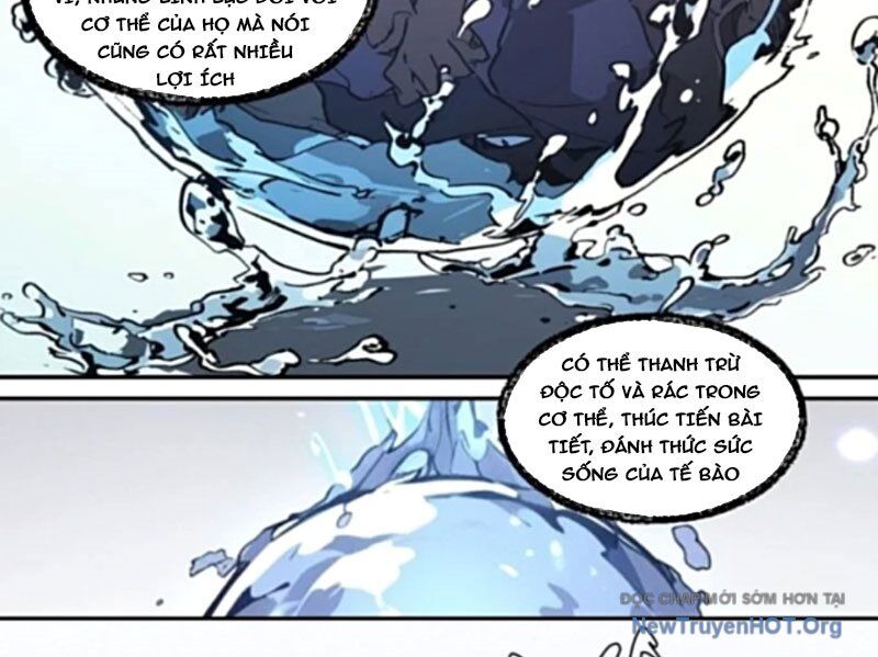Thành Thần Bắt Đầu Từ Một Hồ Nước Chap 11 - Next Chap 12