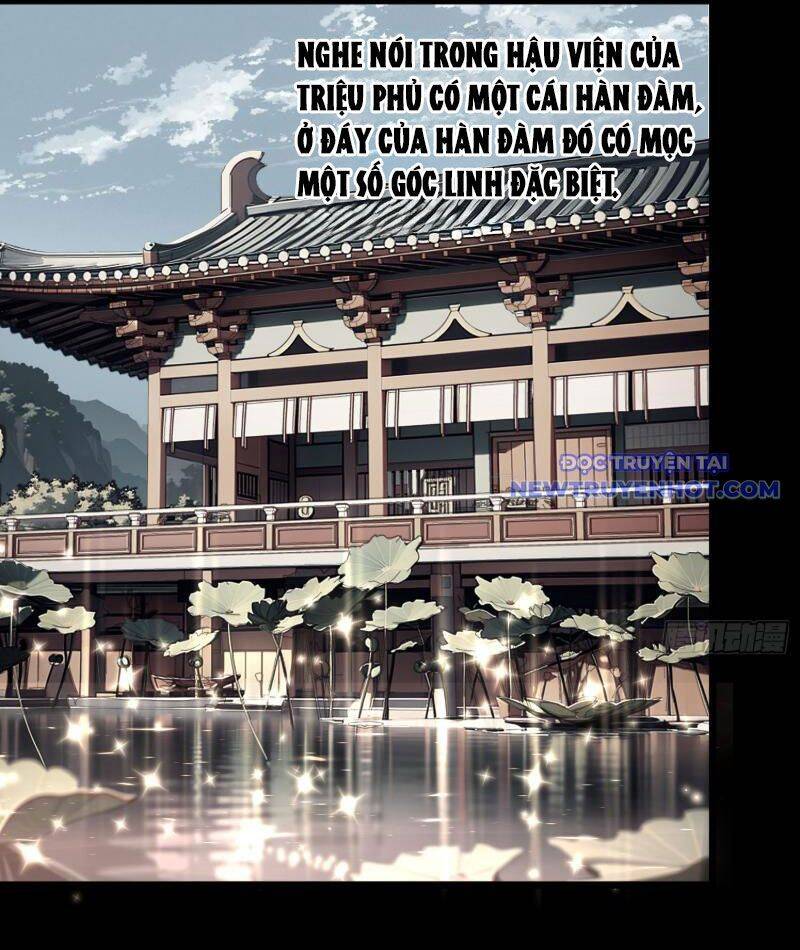 Thành Thần Bắt Đầu Từ Thủy Hầu Tử Chap 4 - Next Chap 5