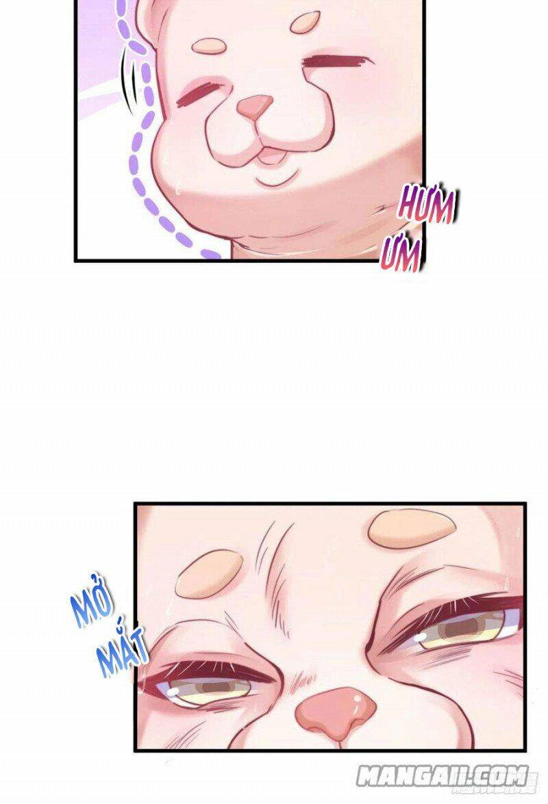 Thảnh Thơi Thú Thế Chủng Chủng Điền, Sinh Sinh Tể Chap 205 - Next Chap 206