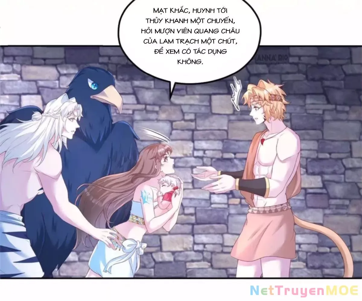 Thảnh Thơi Thú Thế Chủng Chủng Điền, Sinh Sinh Tể Chap 702 - Next Chap 703