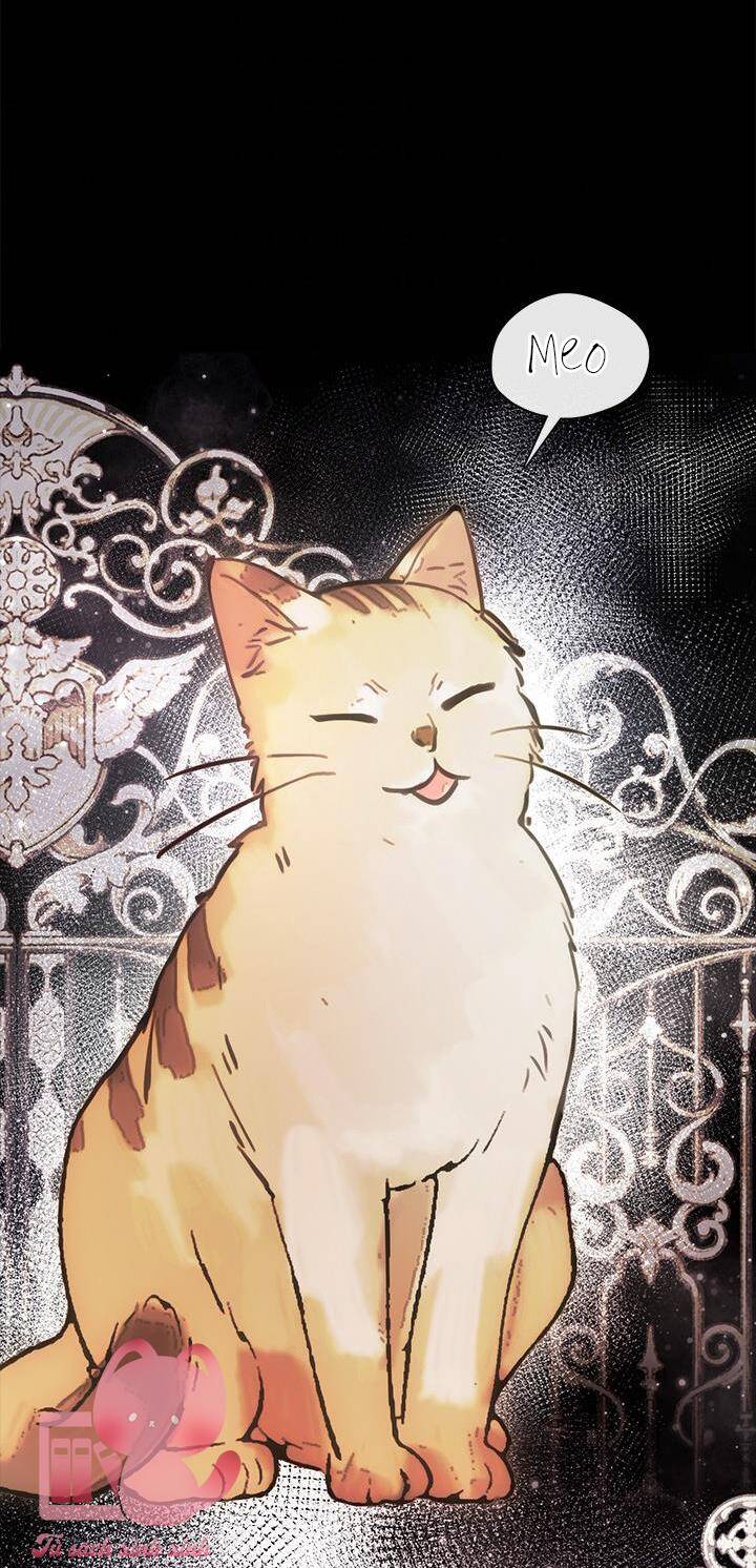 Thành Viên Trong Gia Đình Phát Cuồng Vì Tôi Chap 48 - Next Chap 49