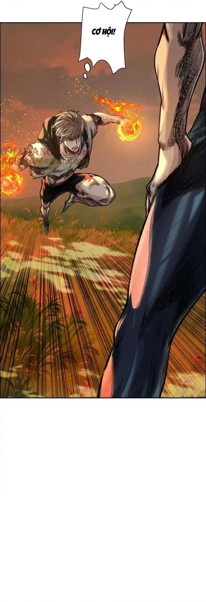 Thập Nhị Tinh Chap 60 - Next Chap 61