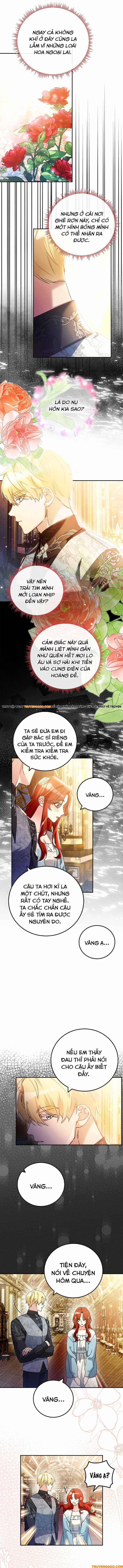 The Saintess Returns To The Emperor Chap 23 - Next Chap 24