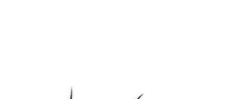 Thể Thao Cực Hạn Chap 298 - Next Chap 299