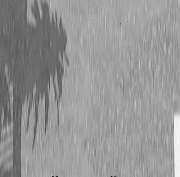 Thể Thao Cực Hạn Chap 345 - Next Chap 346