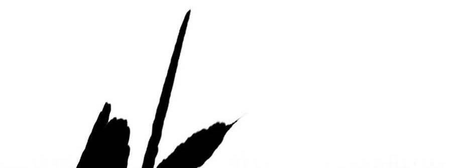 Thể Thao Cực Hạn Chap 3811 - Next Chap 3812