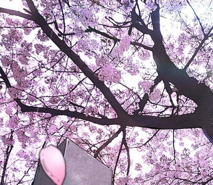 Thể Thao Cực Hạn Chap 4965 - Next Chap 4966