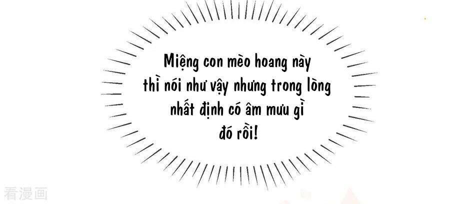 Thị Huyết Y Phi Chap 106 - Next Chap 107