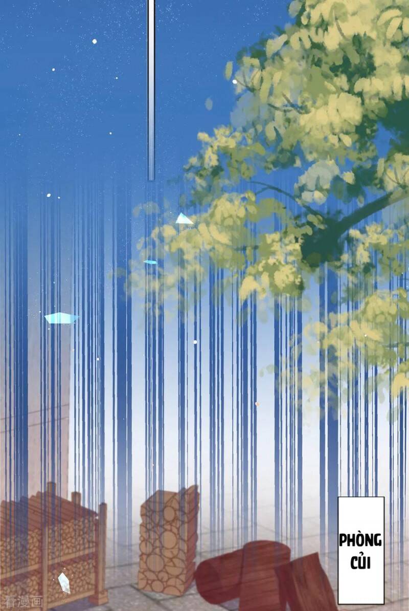 Thị Huyết Y Phi Chap 81 - Next Chap 82