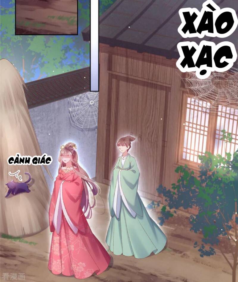 Thị Huyết Y Phi Chap 81 - Next Chap 82