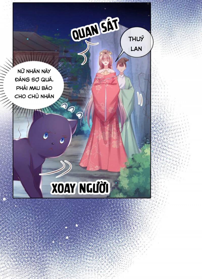 Thị Huyết Y Phi Chap 81 - Next Chap 82