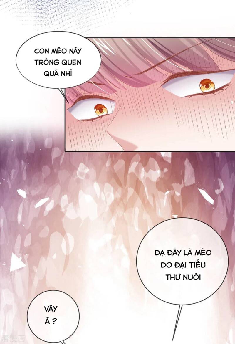 Thị Huyết Y Phi Chap 81 - Next Chap 82