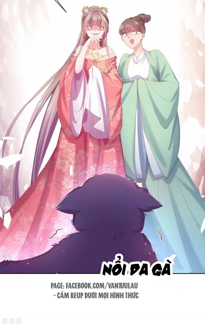 Thị Huyết Y Phi Chap 81 - Next Chap 82