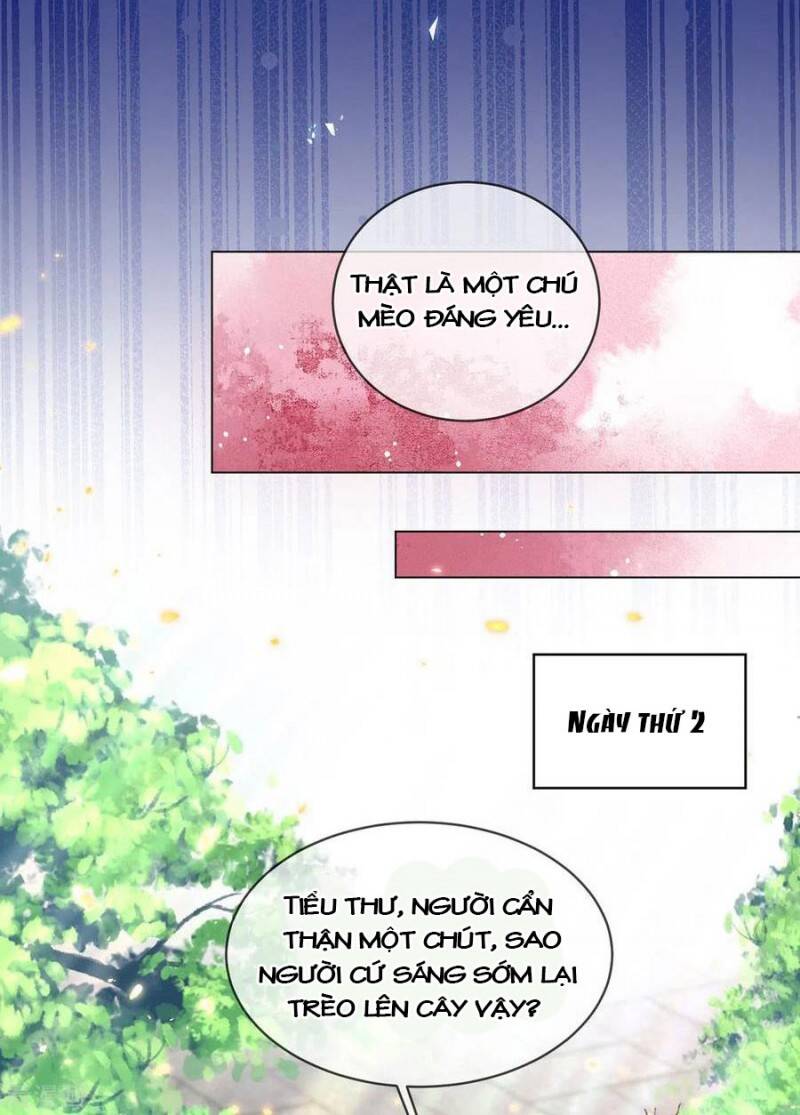 Thị Huyết Y Phi Chap 82 - Next Chap 83