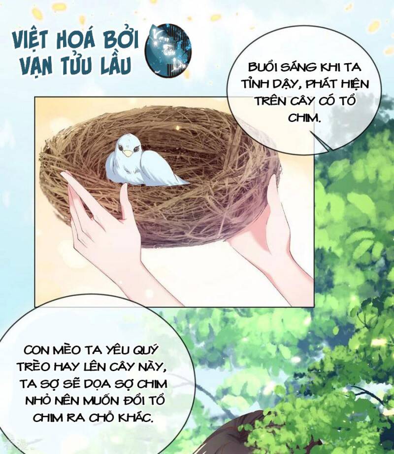 Thị Huyết Y Phi Chap 82 - Next Chap 83