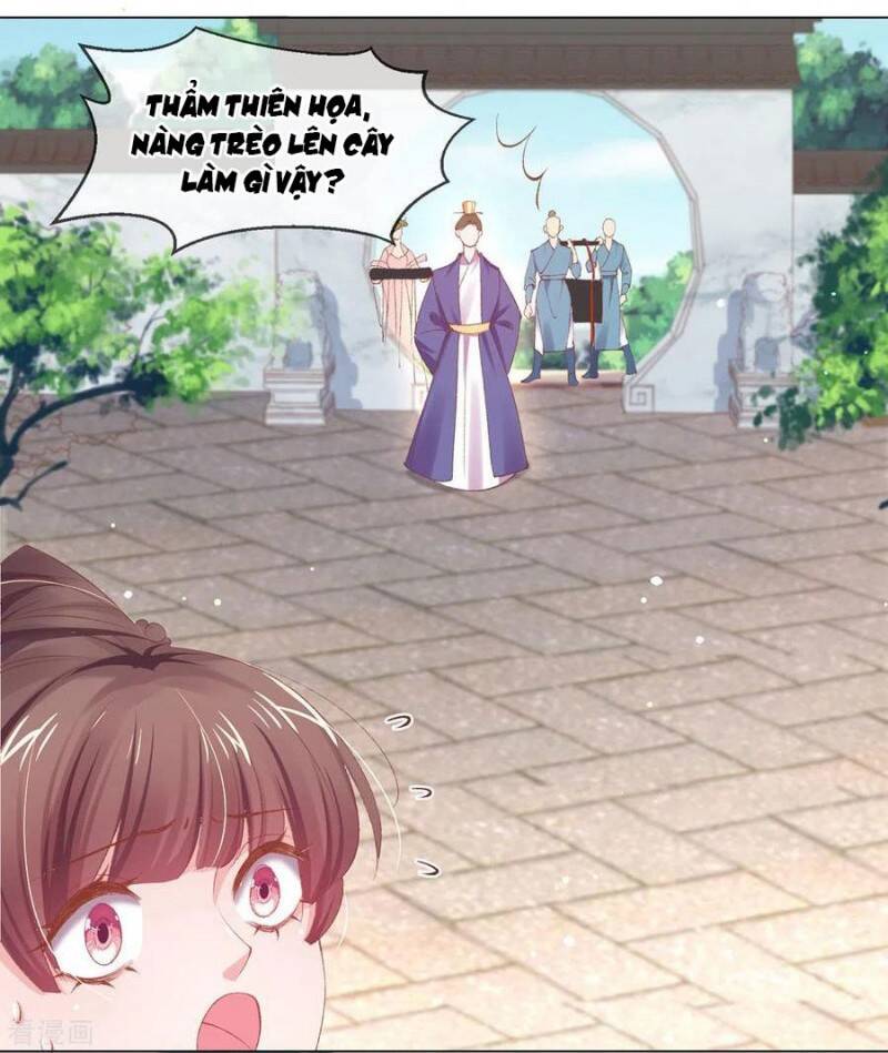 Thị Huyết Y Phi Chap 82 - Next Chap 83