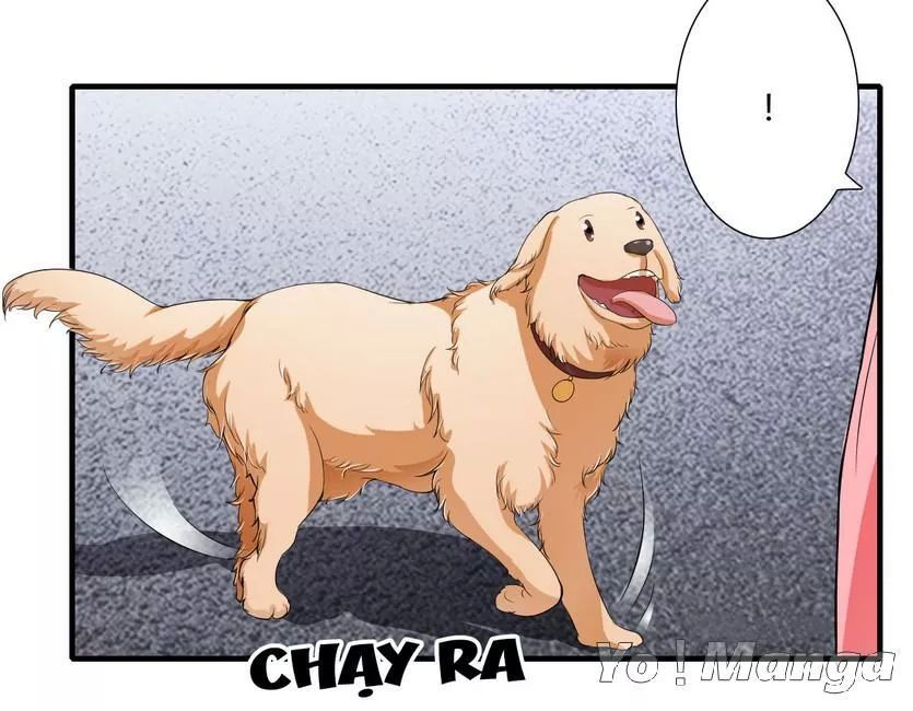 Thiểm Hôn Kinh Ái Chap 43 - Next Chap 44
