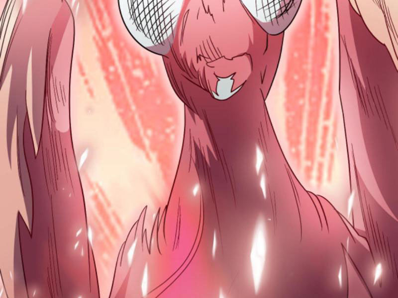 Thiên Khải Bại Gia Chap 189 - Next Chap 190
