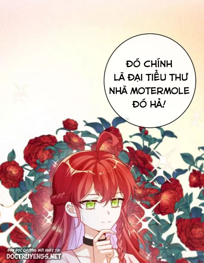 Thiên Kim Phản Diện Và Tiểu Thư Ma Vương Chap 5 - Next Chap 6