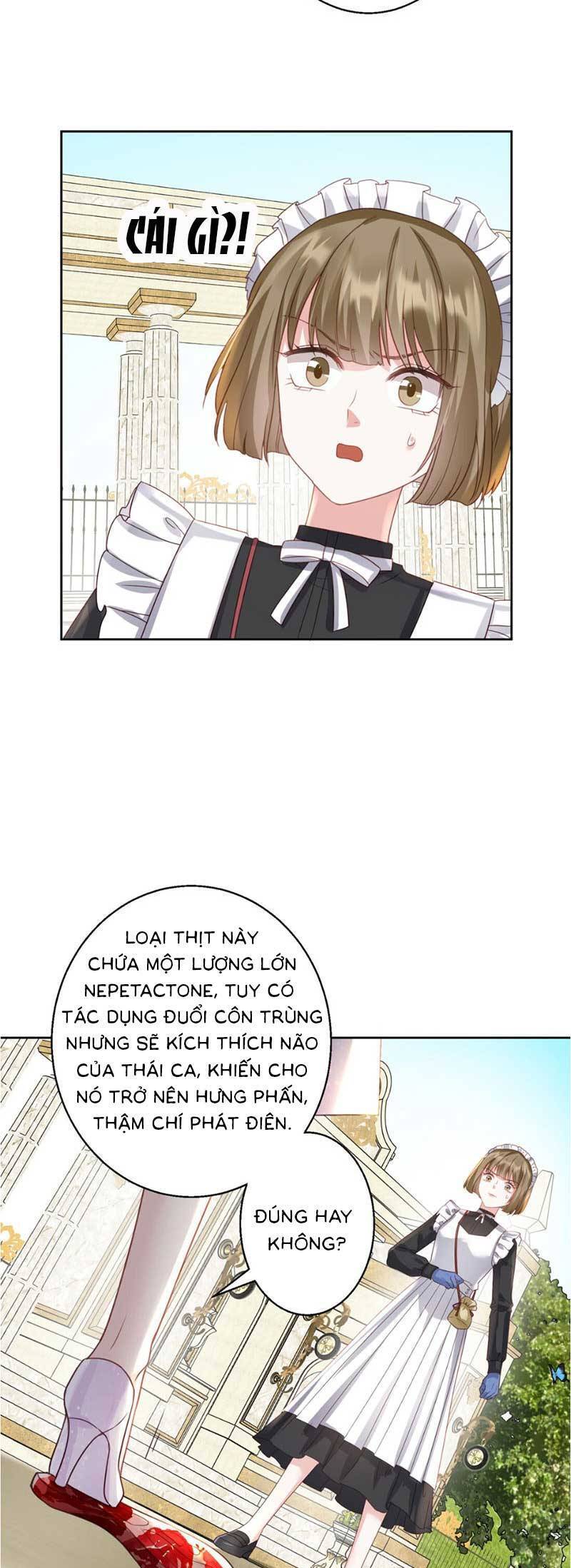 Thiên Kim Toàn Năng Trọng Sinh Chap 6 - Next Chap 7