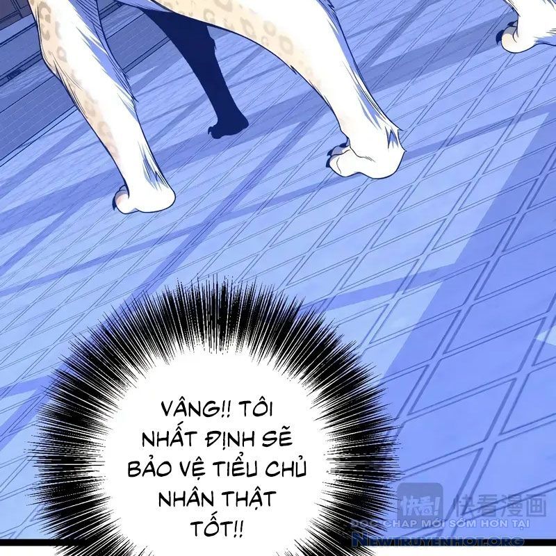 Thiên Phú Của Ngươi, Giờ Là Của Ta Chap 102 - Next Chap 103