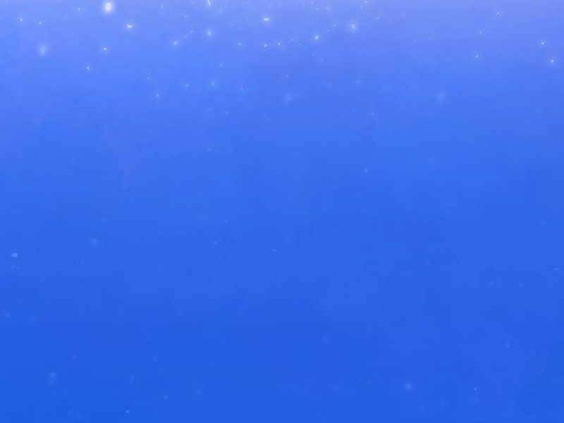 Thiên Quỷ Chẳng Sống Nổi Cuộc Đời Bình Thường Chap 28 - Next Chap 29