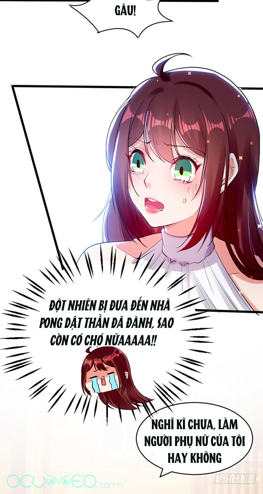 Thiên Tài Khốc Bảo: Tổng Tài Sủng Thê Quá Cường Hãn Chap 11 - Next Chap 12