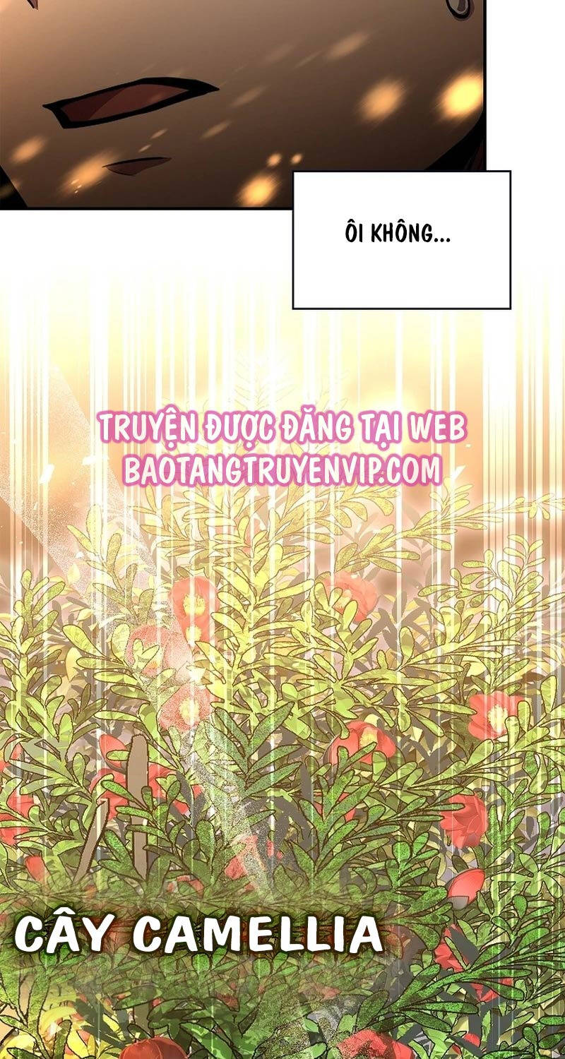 Thiên Tài Ma Pháp Sư Giấu Nghề Chap 83 - Next Chap 84