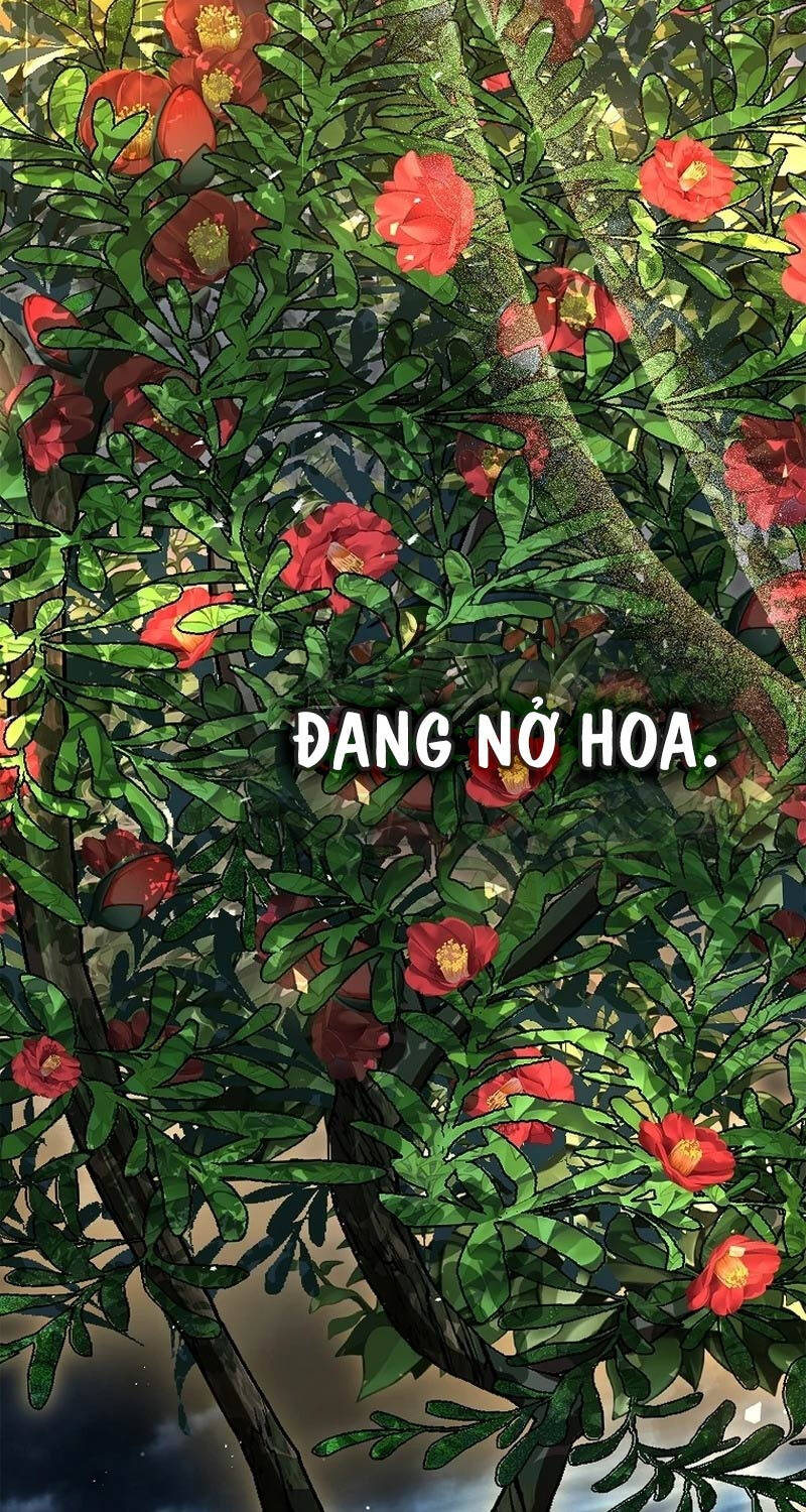Thiên Tài Ma Pháp Sư Giấu Nghề Chap 83 - Next Chap 84