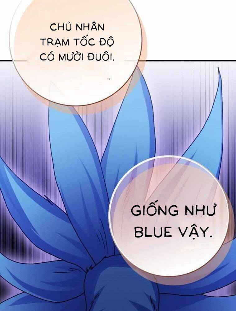 Thiên Tài Võ Thuật Hồi Quy Chap 33 - Next Chap 34