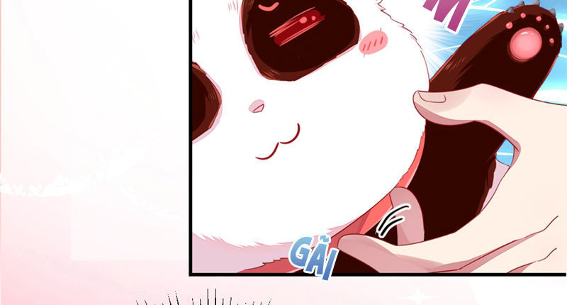 Thiên Thần Gấu Trúc Muốn Được Ôm Chap 25 - Next Chap 26