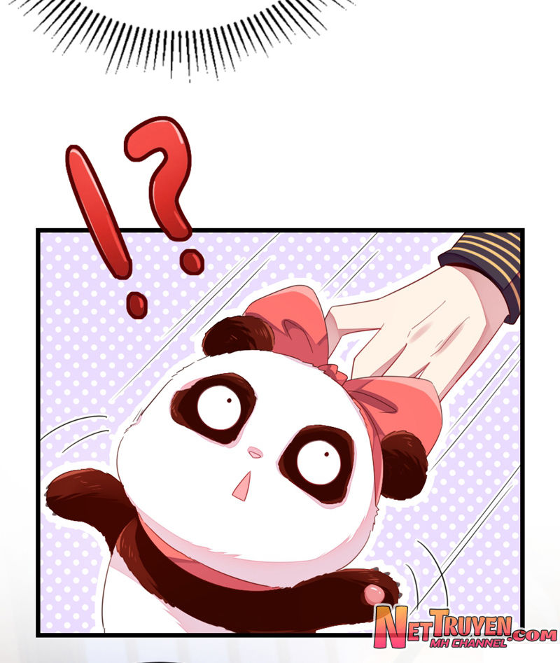 Thiên Thần Gấu Trúc Muốn Được Ôm Chap 25 - Next Chap 26