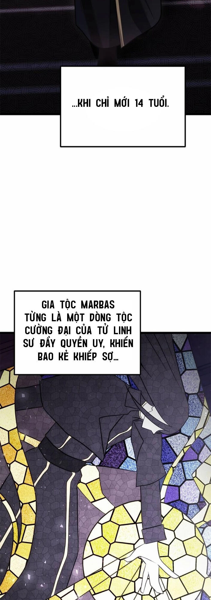 Thiếu Gia Chủ Của Gia Tộc Tử Linh Sư Chap 2 - Next Chap 3